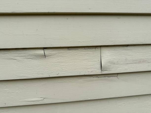 How To Choose The Right Materials for Your Siding Installation in 'South Miami, FL